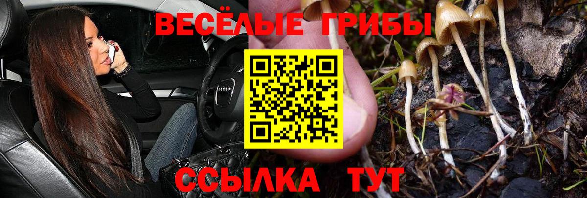Галлюциногенные грибы Magic Shrooms Кириши