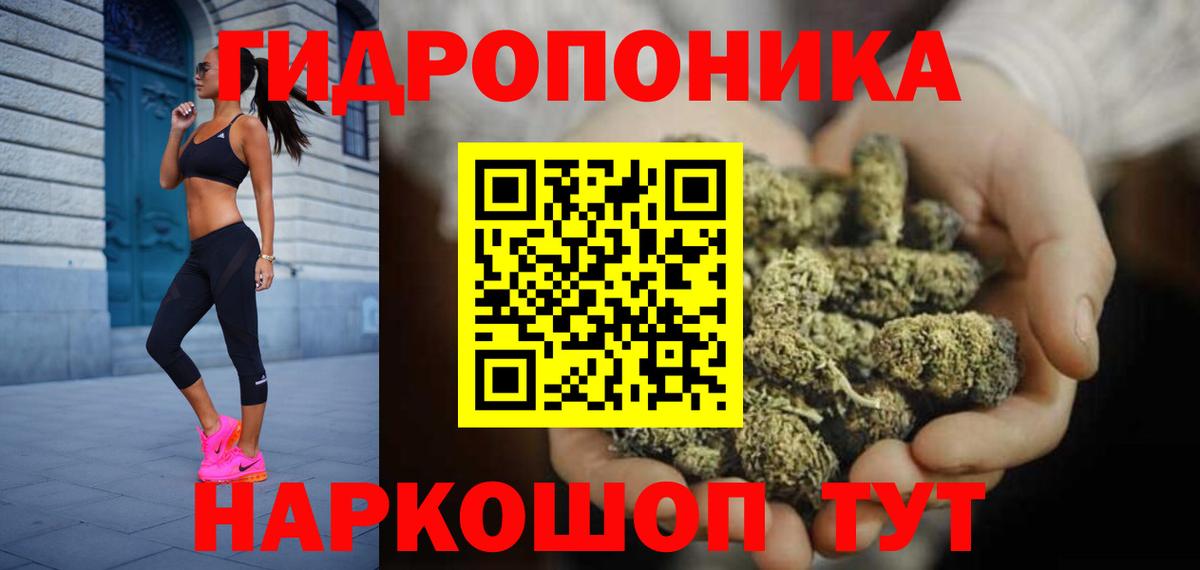 Шишки марихуана тримм  Бошки Шишки сатива  Каннабис сатива  Вход с VPN  Бошки марихуана OG Kush  Кириши 